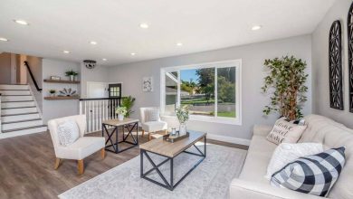 transform-your-home-with-expert-painting-companies-in-toronto